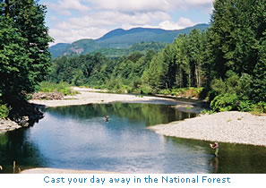 Photo: Fishing in the forest.